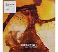 Divine Comedy - Love What You Do
