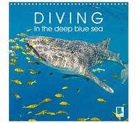 Diving in the deep blue sea (Wall Calendar 2026 12 × 12 Inch) CALVENDO 12 Month Wall Calendar: The amazing underwater world of diving