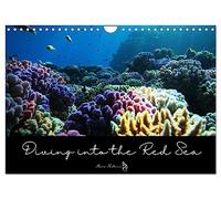 Diving into the Red Sea (Wall Calendar 2026 DIN A4 landscape), CALVENDO 12 Month Wall Calendar: Dive into the colorful underwater world of the Red Sea ... facts about this fascinating ecosytem
