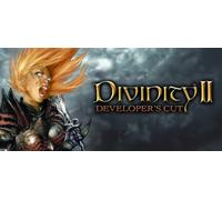 Divinity II: Developers Cut (PC)