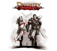 Divinity: Original Sin Gog.com Key GLOBAL