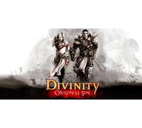Divinity Original Sin (PC)