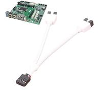 Diviseur de connecteur USB à 9 broches pour carte mère - Câble d'extension USB 2.0 | Séparateur fiable à 9 broches pour une connexion stable et stable, pour les maisons et les bureaux, une