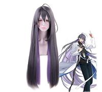 Division Rap bataille hypnose MIC JAKURAI JINGUJI longue perruque droite Cosplay Costume hommes femmes cheveux synthétiques Halloween fête perruques MZ-1299