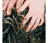 Divorce – Heady Metal – EP – Édition limitée – Import