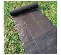 DIWAL Film De Paillage Anti-Mauvaises Herbes Géotextile Rouleau UV Résistant Couverture De Sol pour Allée, Jardin, Parterres, Serre, Terrasse(1m x 200m)