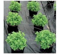 DIWAL Toile de Paillage Bâche de Paillage Anti-Herbes Jardin Toile UV Résistant Géotextile Membrane Anti-Mauvaises Herbes pour Entrées, Massifs, Potager, Allées, Terrasse, Jardin(1m x 100m)