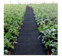 DIWAL Toile De Paillage Géotextile Anti-Mauvaises Herbes, Bâche De Paillage Jardin Résistante, Couverture De Sol pour Allées, Graviers, Potager, Massifs, Terrasse, Facile À Installer(1m x 100m)