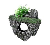 diwedaso Décoration d'aquarium fiable offrant Un Rendu Exceptionnel et Une fonctionnalité optimale pour enrichir l'expérience de Vie Aquatique dans Votre, Vert, M.