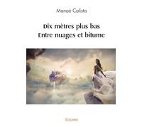 Dix mètres plus bas - Entre nuages et bitume