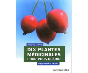 Dix plantes médicinales pour vous guérir: Elles poussent près de chez vous !