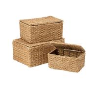 Dixie Panier de rangement Esther avec couvercle. 3 pièces Naturel