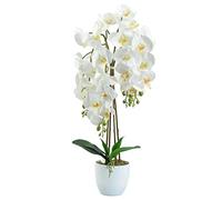 DIXIE STORE Plante Artificielle Orchidée | Orchidée Artificielle en Pot, Comme La Vraie, 70 Cm, 4 Branches, Nombreuses Fleurs, Dense, Blanche