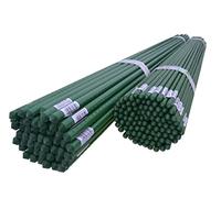 DIXIE STORE - Tuteurs pour Plantes de Jardin, Tomates, Concombres, Fleurs - Tiges de Support Plantes Grimpantes - Piquets en métal - Longueur : 90cm Ø 9mm 100 Pcs.