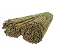 Dixiestore Baguettes en Bambou | Poteaux en Bambou Ensemble de Supports de Fleurs | Lot de 100 Piquets de Plantes Très Résistants 180 Cm x 16-18 Mm