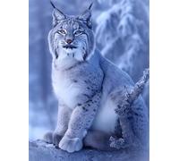 DIY 5D Adultes et débutants Diamant Peinture Complète Foret Point De Croix Kit Paysage Arbre Lynx Neige Motif Diamant Art Kits Diamond Painting Idéal Pour Décoration Murale Foret Carré 45x60cm AB0323