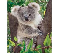 DIY 5D Broderie Diamant Kit Complet Koala mignon sur l'arbre Diamant Painting Kit de Broderie Diamant Peinture Kit Complet pour Adultes Strass Point De Croix Art pour Home Décor Murale 40x50cm/16x20in