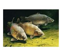 DIY 5D Diamant Peinture grand Taille Kit Poisson carpe Complet Forage Diamond Painting Résine Cristal Strass Art Peinture Maison Mural Décor à La Autocollant U711 GqL0boNl-30x60cm