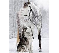 DIY 5D Diamant Peinture Kits Chien cheval Full Drill Diamond Painting Adultes Enfant Broderie Point De Croix Cristal Strass Toile Artisanat Maison Stickers Murale Décor Cadeau 40x50cm A2063
