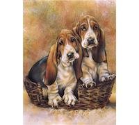 DIY 5D Diamant Peinture Kits de Forage Complet, round drill Basset Hound 20x30cm Diamond Painting,Kit de Peinture Diamantée DIY Pour Enfants, Broderie Diamant Point de Croix pour Home Décoration