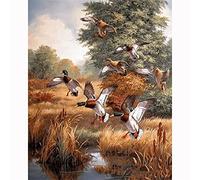 DIY 5D Diamant Peinture Kits de Forage Complet, square drill Canards Volants 30x40cm Diamond Painting,Kit de Peinture Diamantée DIY Pour Enfants, Broderie Diamant Point de Croix pour Home Décoration