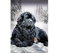 DIY 5D Diamant Peinture Kits Diamond Painting Adultes Enfant Chien De Terre-Neuve Pour Décoration De La Maison Peinture Plein Diamant Cadeaux D'anniversaire 40x50CM