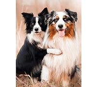 DIY 5D Diamant Peinture Kits Diamond Painting Adultes Enfant Chiens De Berger Australiens Pour Décoration De La Maison Peinture Plein Diamant Cadeaux D'anniversaire 30x40CM
