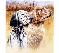 DIY 5D Diamant Peinture Kits Diamond Painting adultes enfant Chiens Setter anglais Pour Décoration de la Maison Peinture Plein Diamant Cadeaux d'anniversaire