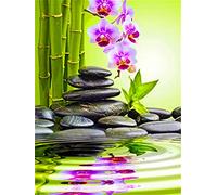 DIY 5D Diamant Peinture kits Pierre d'orchidée 40x50cm/16x20in Square Drill Adulte/Enfant complet strass en cristal diamant Broderie point de croix mosaïque motif Arts kit pour la Salon décoration