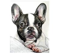 DIY 5D Diamant Peinture Kits pour Adultes Bulldog français Complet Diamond Painting Kit Point de Croix Peinture Diamant Broderie Arts Crafts pour La Maison Décoration Murale Cadeaux 60x90cm/24x36inch