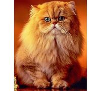 DIY 5D Diamant Peinture Kits pour Adultes Chat persan orange Complet Diamond Painting Kit Point de Croix Peinture Diamant Broderie Arts Crafts pour La Maison Décoration Murale Cadeaux 60x90cm/24x36in