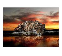 DIY 5d Diamant Peinture par numéro kit, Broderie Diamant kit Complet Full léopard Strass à broder au point de croix Arts Craft sur toile Décoration murale 40X30cm