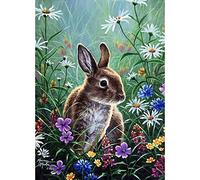 DIY 5d Diamant Peinture par numéro kit, Peinture Diamant,Broderie Diamant lapin Strass à broder au point de croix Arts Craft sur toile Décoration murale 30X40cm