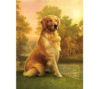 DIY 5D Diamant Peinture par numéro kits Chien labrador Forage Complet Broderie diamant Painting Strass point de croix Travaux manuels Salon Chambre Décoration mural 40x60cm/16x24inch Square drill