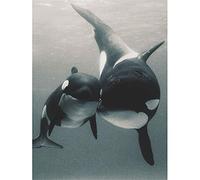 DIY 5D Diamant Peinture Point De Croix Broderie Strass Orque mère et enfant Diamond Painting Kits Salon Chambre Art Craft pour Home Décoration Murale-Square_Drill_30x40cm C4241