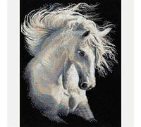 DIY 5D Diamant Peinture Point De Croix Broderie Strass Tête de cheval blanc Diamond Painting Kits Salon Chambre Art Craft pour Home Décoration Murale-Round Drill,30x40cm C10012