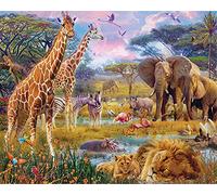 DIY 5D Diamond Painting Animaux d'Afrique, Broderie Diamant Kit Complet Adultes/Enfants par Numéros Cristal Strass Broderie Point de Croix Artisanat, pour La Maison Décor Murale Square Drill,30x40cm