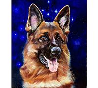 Diy 5D Diamond Painting Complet Accessoires,Berger Allemand Animal Broderie Peinture Diamant Painting Kit Complet Point De Croix Cristal Strass Décoration De La Maison