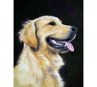 Diy 5D Diamond Painting Complet Accessoires,Chien Golden Retriever Animal Broderie Peinture Diamant Painting Kit Complet Point De Croix Cristal Strass Décoration De La Maison - 30 × 40cm