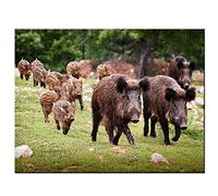 DIY 5D Diamond Painting Full Kits Sanglier 30x40cm 12x16inch Photo Full Strass Cristal Diamant Peinture Point de Croix Broderie Toile Art Murale Décoration et Cadeau