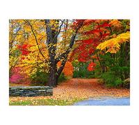 DIY 5D Diamond Painting Kit Paysage d'automne Peinture Diamant Kit pour Adultes Enfants Point De Croix Broderie Diamant Art, pour la décoration à la Maison/Salon/Chambre/Bureau Round Drill 60x80cm