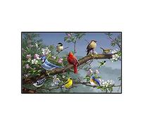 DIY 5D Peinture Diamant Broderie Kits Complet,Fleurs et oiseaux Diamond Painting Grande Point de Croix dot Cristal strass Toile Artisanat Image pour mur décor for Home Wall Decor Gifts 50x100cm