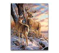 DIY 5D Peinture Diamant Kit Cerf 40x50cm/16 * 20in Complet Foret Point De Croix Cristal Strass Broderie Diamond Painting Kits Adulte/Enfant Full Drill Bicolage Artisanat Muraux Décor à La Maison