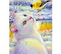DIY 5D Peinture Diamant Kit Forage Complet pour Adulte/Enfant Oiseau Chat 40x50cm Diamond Painting Cristal Strass Point De Croix Broderie Diamant pour La Maison Décoration Murale Cadeau (16x20in)