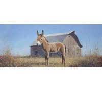 DIY 5D Peinture Diamant Painting Kit, Grand Format Diamond Painting Complet Kits, âne de ferme Diamond Art Kits Point de Croix Painting pour Adultes Débutants Maison Décor Cadeau 90x180cm b-673