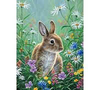 DIY 5D Peinture Diamant Painting Perceuse complet,Fleur de lapin Point de Croix Kit Adultes/Enfants Grande Broderie Cristal Strass Artisanat Toile décor murale à la maison cadeau Round Drill,25x45cm