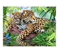 DIY 5D Peinture Diamant Painting Perceuse complet,Léopard Jungle Point de Croix Kit Adultes Enfants Grande Broderie Cristal Strass Artisanat Toile décor murale à la maison cadeau Square Drill 30x40cm