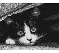 DIY Animal Tapis Noué A Faire Chat Noir Et Blanc Kits De Crochets À Loquet Pour Tapis Grands Pour Adultes Débutants,Faire Soi-Même Kit De Fabrication De Tapisserie,Broderie De Coussi 23x35in