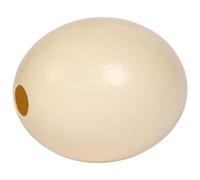 DIY Art and Sculpture Coquille d'œuf d'autruche naturelle, 16 cm de haut, 13,5 cm de large, coquille lisse texturée, couleur crème, pour projets de sculpture et décoration d'intérieur de luxe idéal