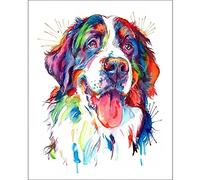 DIY Broderie Diamant Chien De Couleur Bouvier Bernois 30x40cm Kit de Peinture Diamant 5D,Diamant Painting,Peinture Par Numéro, Diamond Painting Point De Croix Arts Craft, Ldéal Pour Décoration